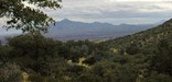 San Jose Peak, Mexico, from the cave trail in Coronado National Memorial